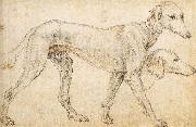 ZUCCARO Federico, Studies of a Greyhound
